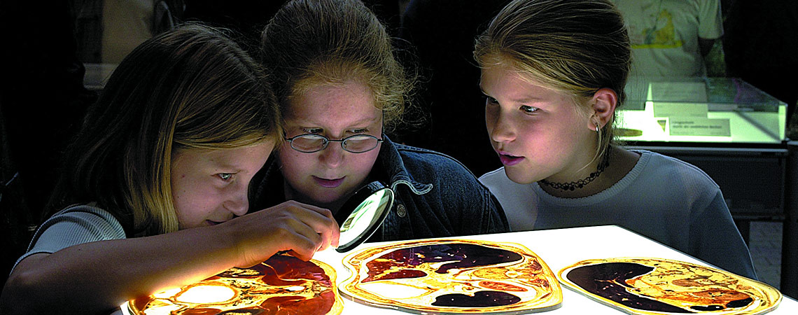 Junge Gäste der Ausstellung Körperwelten und der Zyklus des Lebens