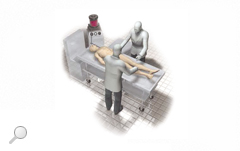 Plastinationstechnik - Fixierung und anatomische Präparation