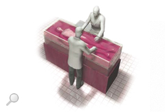 Plastinationstechnik - Entwässerung und Entfettung